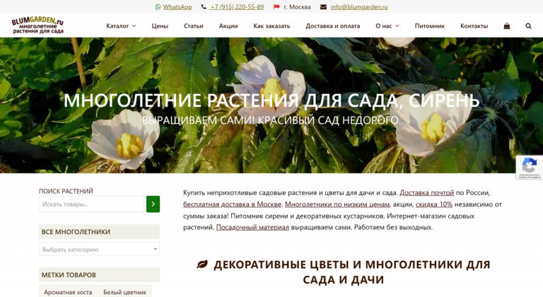 Разработка интернет-магазин многолетних растений для сада blumgarden.ru - Портфолио Иван Никитин и партнеры