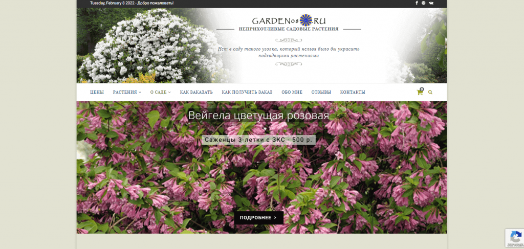 Интернет-магазин садовых неприхотливых растений для сада GARDEN08