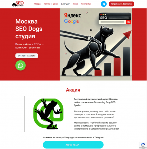 Макет сайта веб-студии SEOdogs для Портфолио
