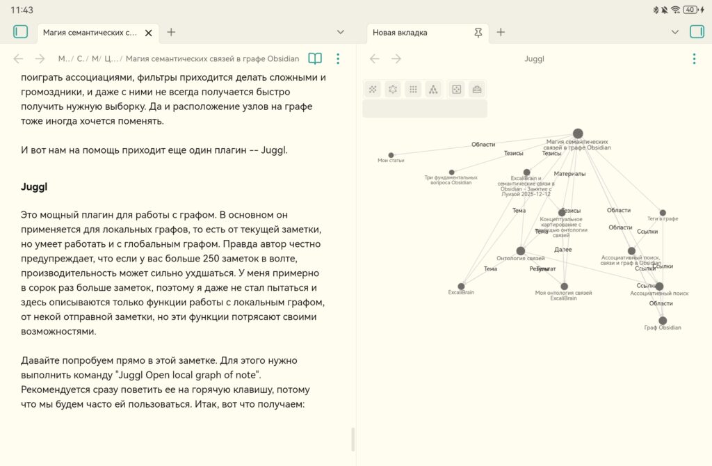 Локальный граф Juggl